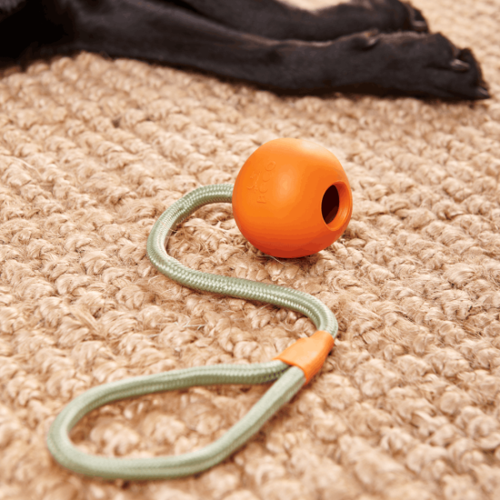 BECO Slinger Ball - Hundeball mit Seil